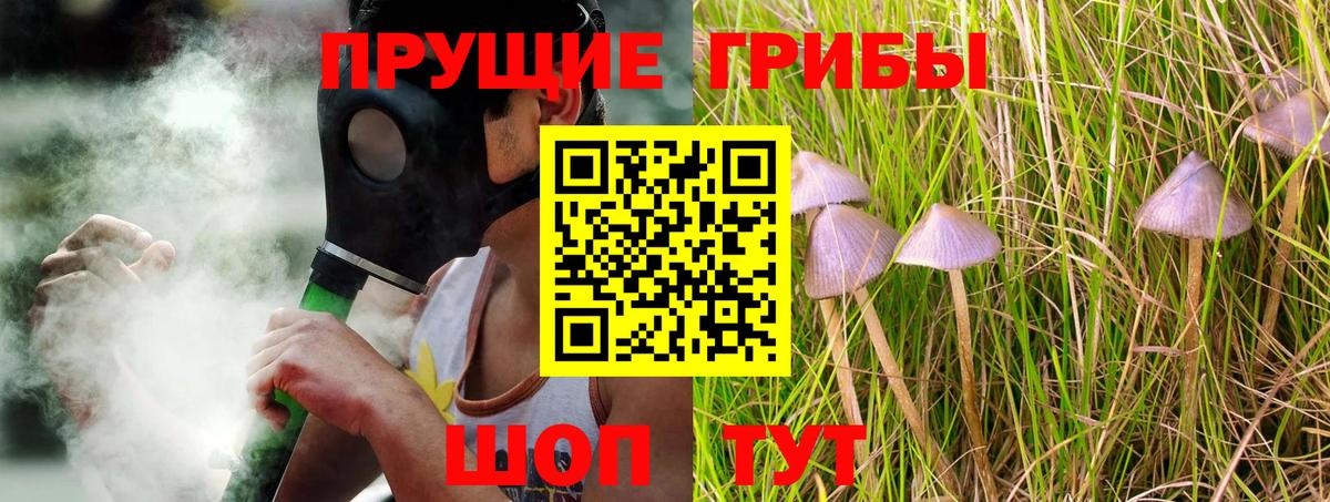 Сергиев Посад  Галлюциногенные грибы GOLDEN TEACHER  Вход с VPN  Псилоцибиновые грибы GOLDEN TEACHER 